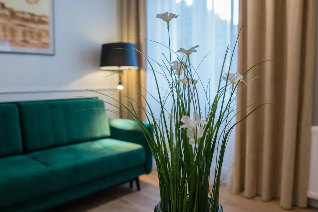 Apartament Z Piernika *